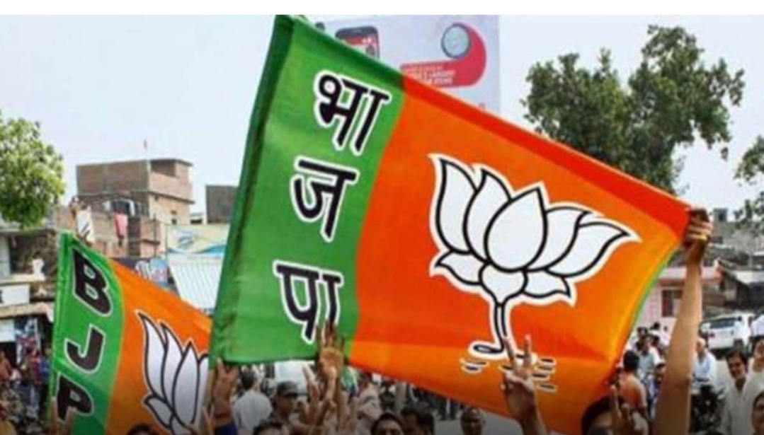  Gujarat Bjp Announces New District Chiefs After Leadership Reshuffle-TeluguStop.com