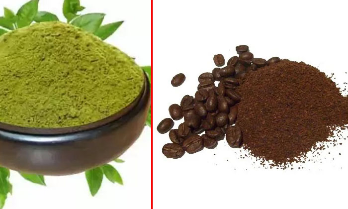  How To Get Rid Of White Hair With Coffee Powder-TeluguStop.com