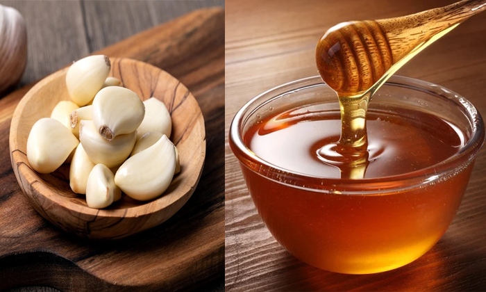 Telugu Bacterial, Empty Stomach, Garlic, Garlic Honey, Benefits, Tips, Heart Pro