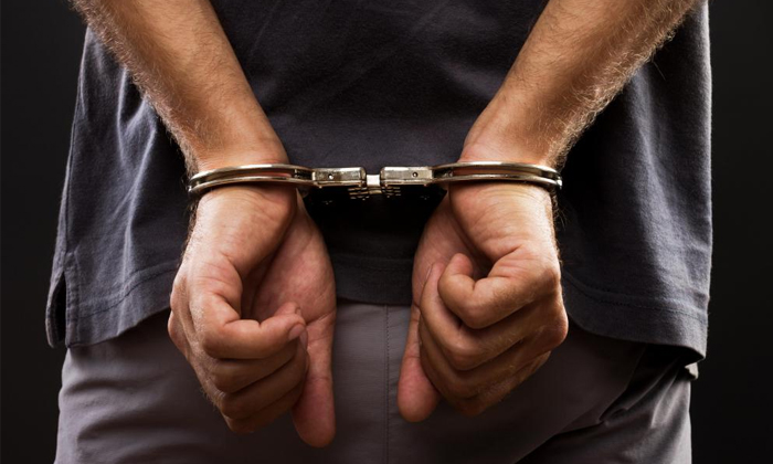 Telugu Brampton, Canada, Canada Nri, Davinder Kaur, Stabs, Sparrow Park-Telugu N