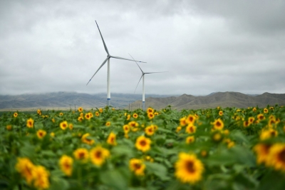  Israel Unlikely To Meet 2030 Climate Goals: Report-TeluguStop.com