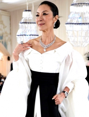  Michelle Yeoh Says Taking 'wicked' Role Was A 'risk'-TeluguStop.com