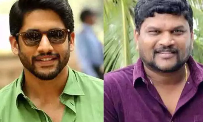 Telugu Coustady, Krithy Shetty, Naga Chaitanya, Parashuram, Telugu-Movie