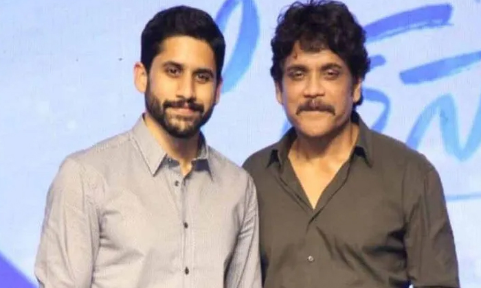 Telugu Akkineni, Akkineni Heroes, Kumar Bezwada, Nagachaitanya, Nagarjuna, Nagch