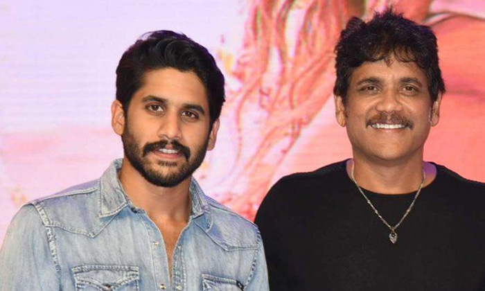  Nagachaitanya Great In That Matter Than Nagarjuna Details Here , Nagachaitanya,-TeluguStop.com