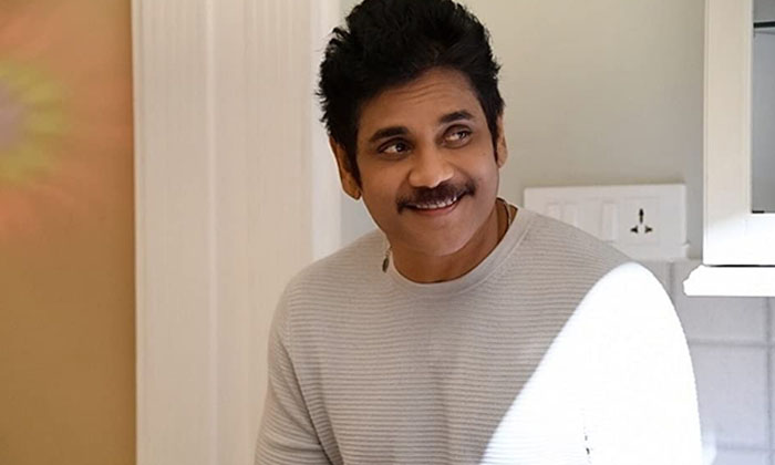  Nagarjuna Don't Want To Do Like That Roles M, Nagarjuna , Tollywood,  The Ghost-TeluguStop.com