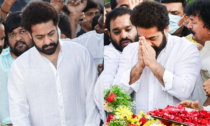 Negative Comments About Young Tiger Ntr Details, Ntr, Junior Ntr Fans, Jr Ntr, N Negative Comments About Young Tiger Ntr Details, Ntr, Junior Ntr Fans, Jr Ntr, N-TeluguStop.com