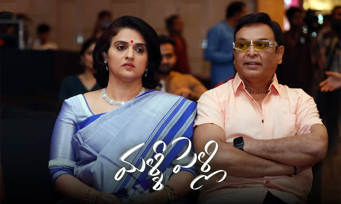 Telugu Naresh, Malli Pelli, Nareshpavitra, Pavitra Lokesh-Movie