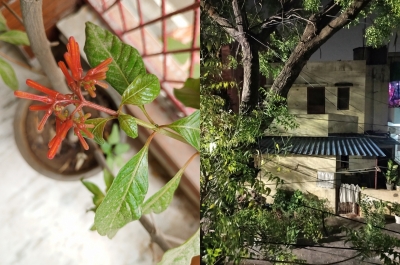 Redmi 12c: Effortless Performance, Industry-leading Display In A Budget Redmi 12c: Effortless Performance, Industry-leading Display In A Budget-TeluguStop.com