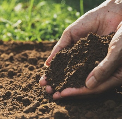  Soil Is The Foundation Of Our Planet's Ecosystems: Report-TeluguStop.com