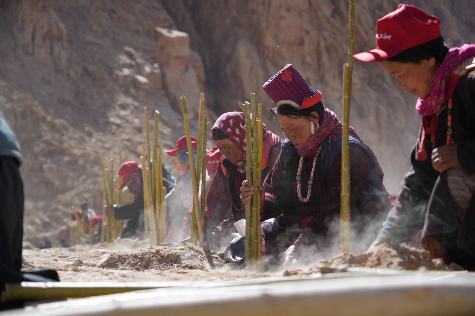 Susan Sarandon Thanks Volunteers For Planting Over 100k Saplings In Ladakh Susan Sarandon Thanks Volunteers For Planting Over 100k Saplings In Ladakh-TeluguStop.com