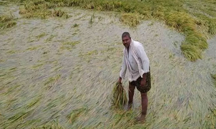 Telugu Andhra Pradesh, Cyclone, Bay Bengal, Formers, Heavy, Odisha, Telugu-Telug