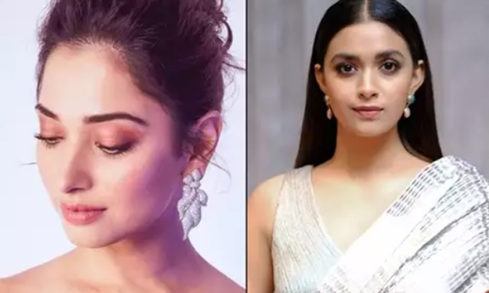 Telugu Actressrakul, Actressshruti, Bhumitra, Jewelers, Ileana, Kajal Agarwal, K Telugu Actressrakul, Actressshruti, Bhumitra, Jewelers, Ileana, Kajal Agarwal, K