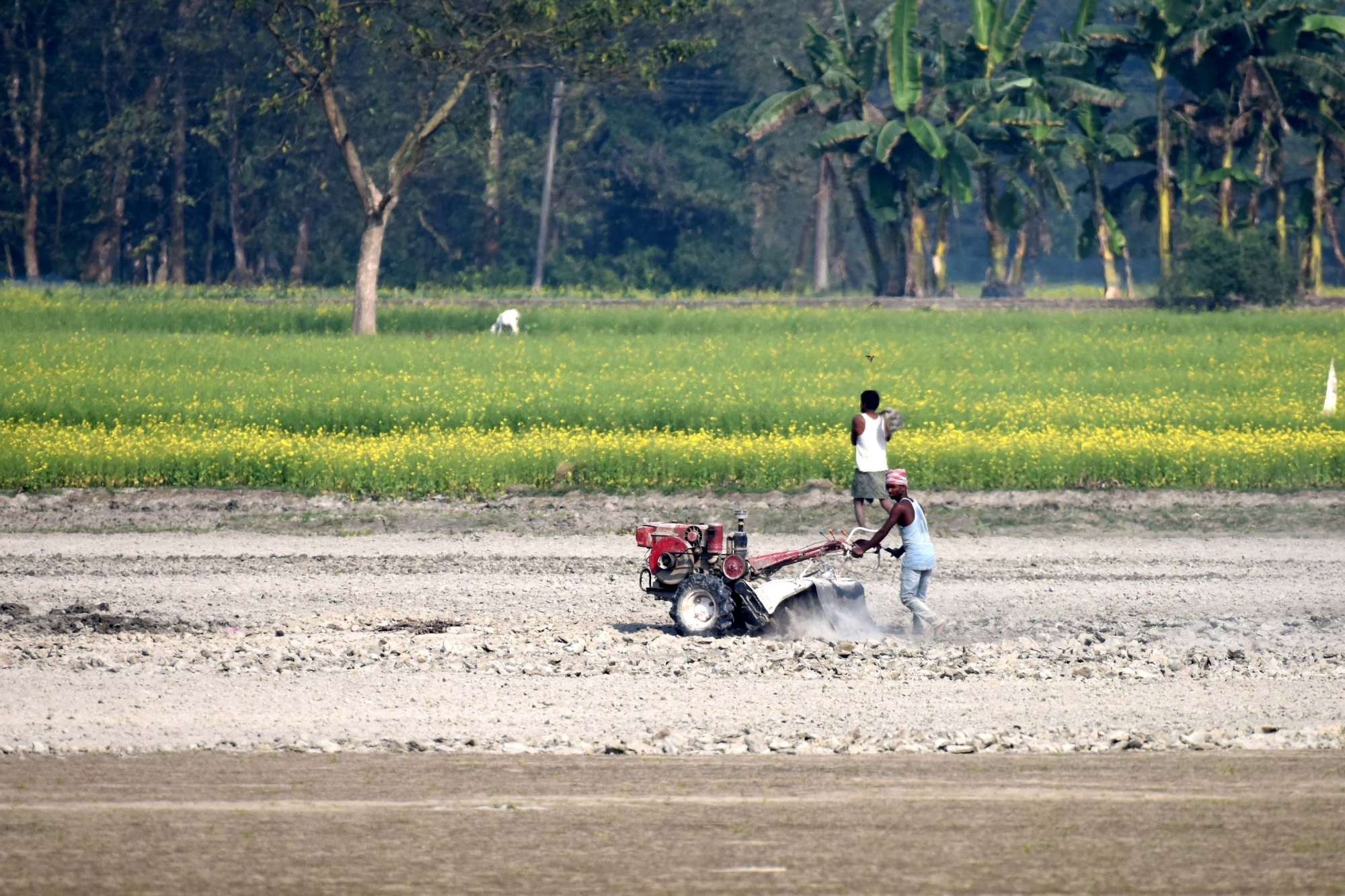  Up Govt's Initiative To Turn Non Arable Land Fertile-TeluguStop.com