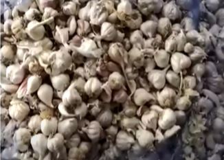 Guttu Rattu Is A Gang That Manufactures Adulterated Materials In Hyderabad Guttu Rattu Is A Gang That Manufactures Adulterated Materials In Hyderabad-TeluguStop.com