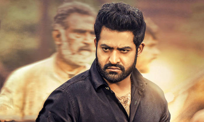 Young Tiger Ntr Career Best Dialogues Details, Junior Ntr, Ntr Best Dialogues, N-TeluguStop.com