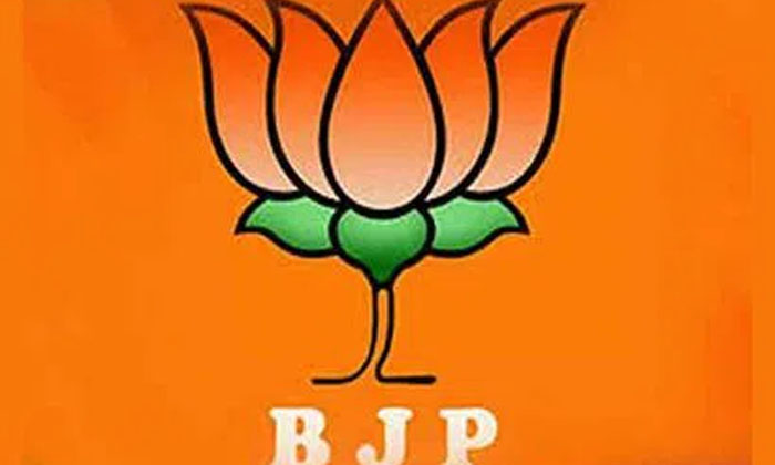  What Is Bjp's Next Plan? , Bjp , Ys Jagan , Ap Politics , Amit Shah , Ycp, Ys Ja-TeluguStop.com