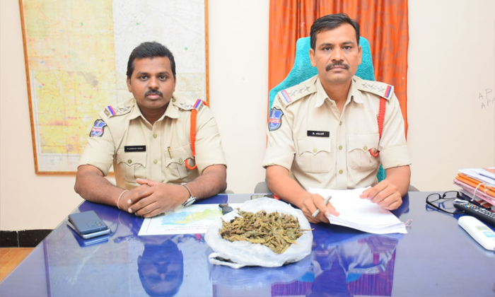  A Man Was Arrested For Illegally Consuming And Transporting Ganja, Ganja, Cannab-TeluguStop.com