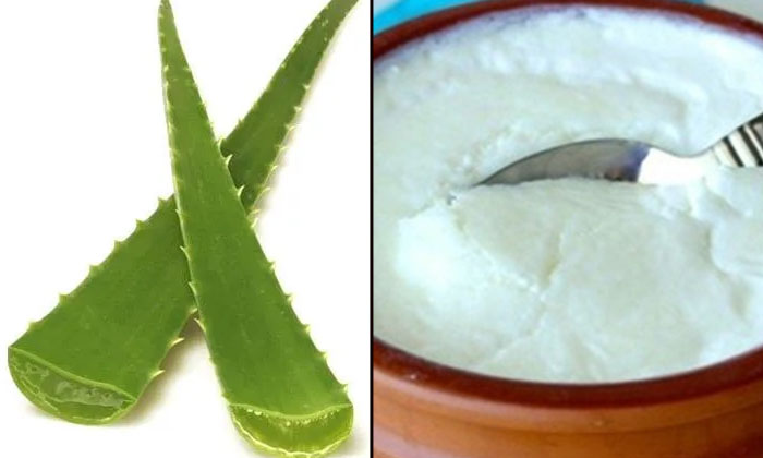  If You Follow This Remedy Just Twice A Month, Your Hair Will Grow Thick And Blac-TeluguStop.com