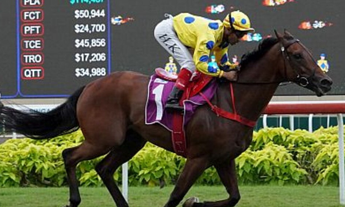 Break For Prestigious Horse Racing In Singapore If You Know The Reason-TeluguStop.com
