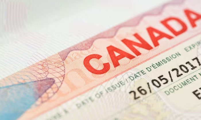  Canada Govt To Introduce New Work Permit For Us H-1b Visa Holders , Us H-1b Visa-TeluguStop.com