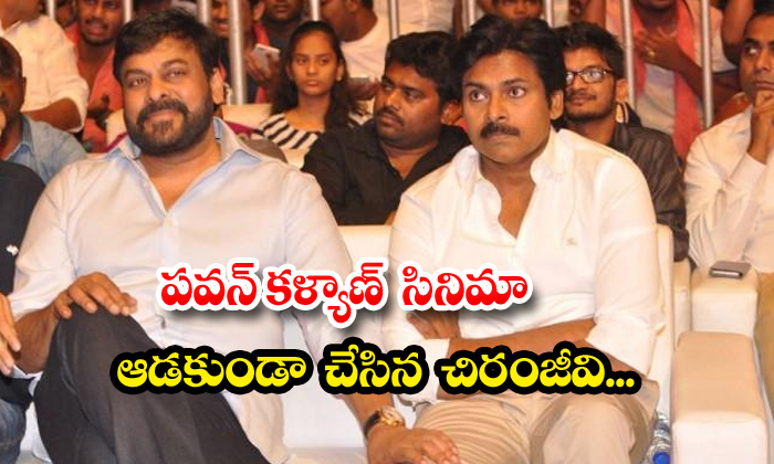 Chiranjeevi Who Stopped Pawan Kalyan From Playing The Movie, Chiranjeevi , Pavan Chiranjeevi Who Stopped Pawan Kalyan From Playing The Movie, Chiranjeevi , Pavan-TeluguStop.com