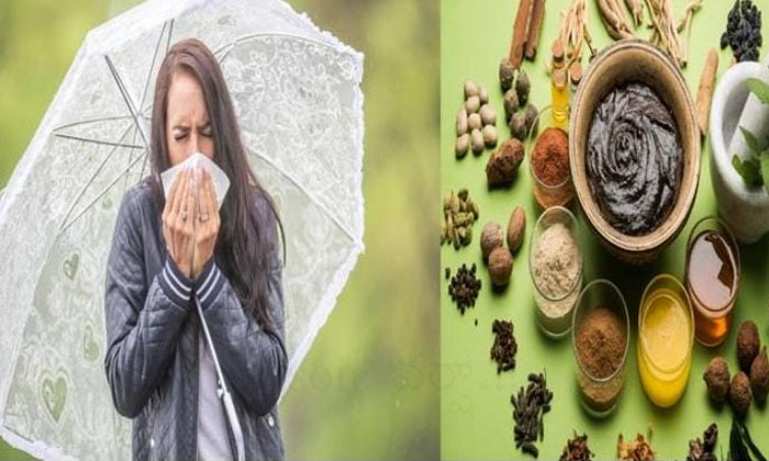 Be Aware Of The Season Of Diseases...! Coriander , Diseases , Rainy Season Be Aware Of The Season Of Diseases...! Coriander , Diseases , Rainy Season-TeluguStop.com