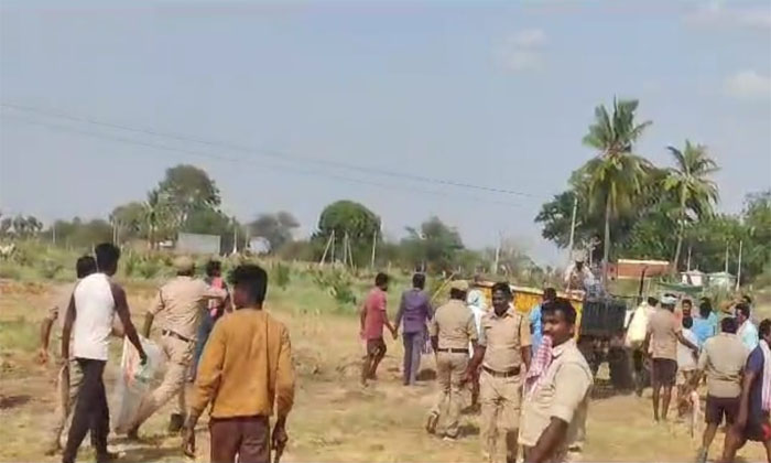  Fish In Rainigudem Pond Details, Districts News,telugu Districts News,suryapet N-TeluguStop.com