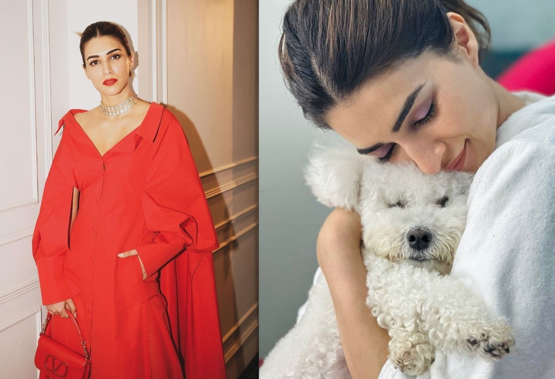  Kriti Sanon’s Heartwarming Pup Cuddle Wins Fans’ Hearts-TeluguStop.com