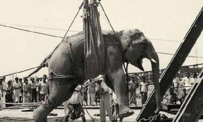  It Is The Worst Punishment In The History Of The World.. What Is The Hanging Of-TeluguStop.com