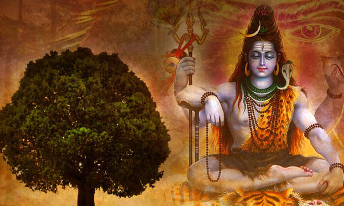Telugu Devotional, Lord Shiva, Monday, Paravathi Devi, Rudraksha, Saffron, Shiva