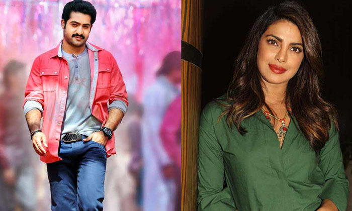  Ntr To Romance With Priyanka Chopra, Priyanka Chopra, Ntr, Prashanth Neel,  Boll-TeluguStop.com