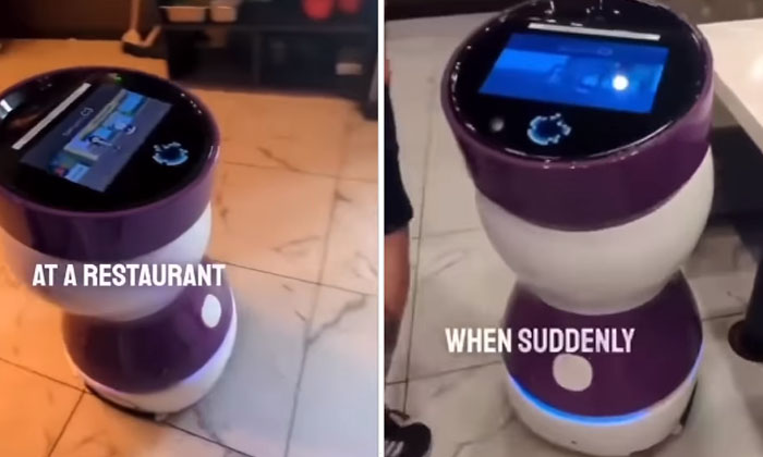  Video: 'please Let Me Work Or I Will Lose My Job Robot Viral, Robot, Peanut Robo-TeluguStop.com