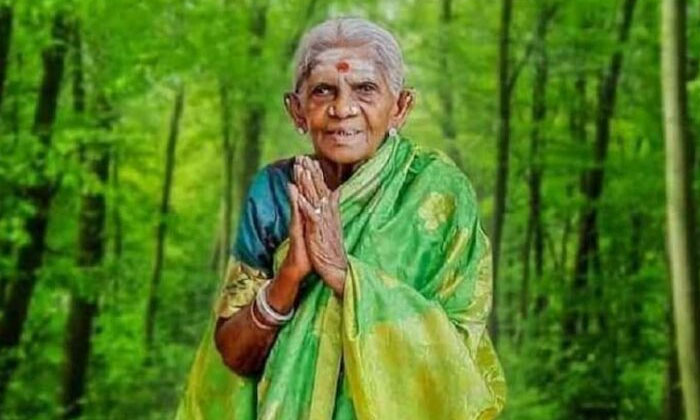  Shocking Facts About Salumarada Timmakka Details Here Goes Viral In Social Medi-TeluguStop.com