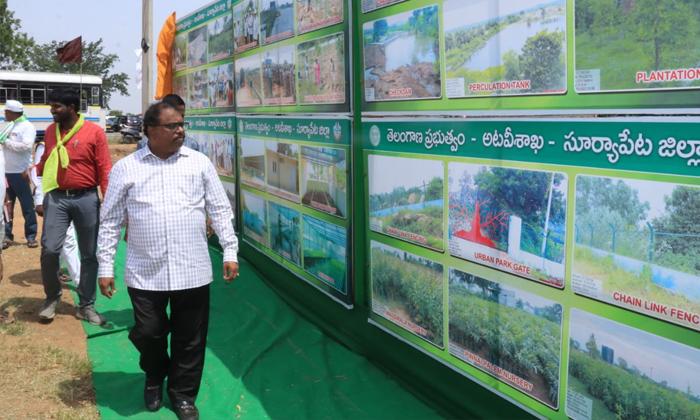  Special Effort To Turn The District Into A Green Carpet District Collector Venka-TeluguStop.com