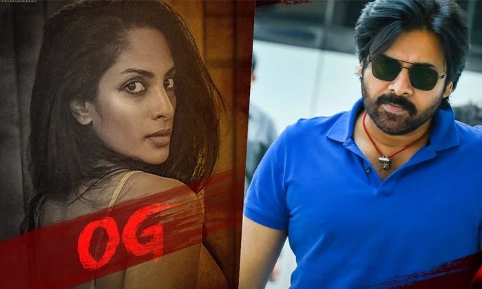 Sriya Reddy Comments On Pawan Kalyan Og Details, Sriya Reddy, Director Sujeeth, Sriya Reddy Comments On Pawan Kalyan Og Details, Sriya Reddy, Director Sujeeth,-TeluguStop.com