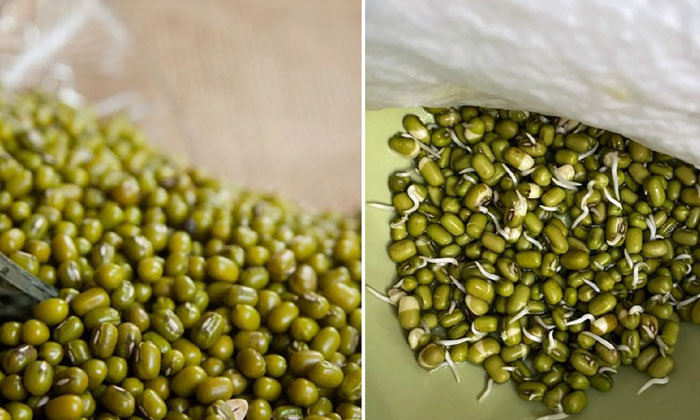 Super Effective Home Remedy For Stop Hair Fall! Home Remedy, Hair Fall, Stop Hai Super Effective Home Remedy For Stop Hair Fall! Home Remedy, Hair Fall, Stop Hai-TeluguStop.com