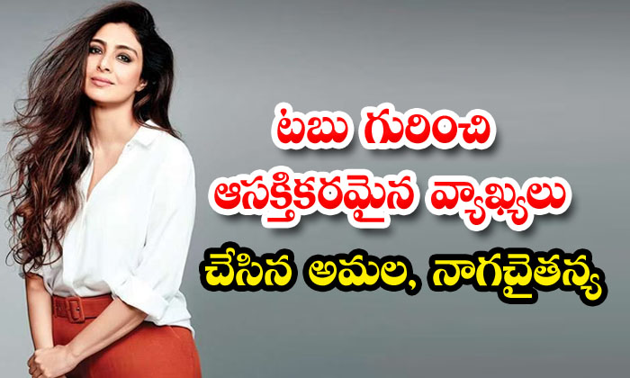 Amala And Naga Chaitanya Made Interesting Comments About Tabu , Tabu ,amala ,ala Amala And Naga Chaitanya Made Interesting Comments About Tabu , Tabu ,amala ,ala-TeluguStop.com