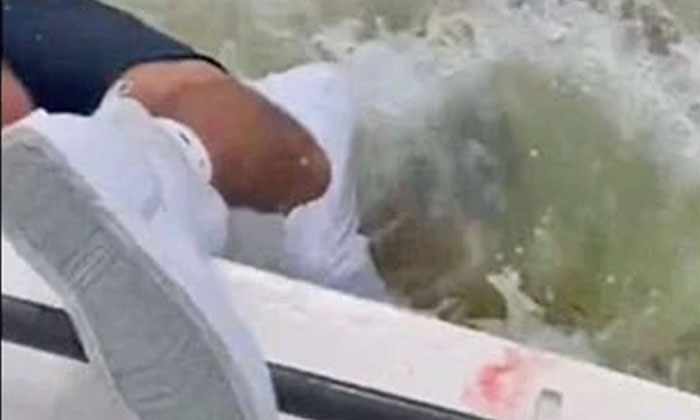 The Shark That Locked The Fisherman In The Water In The End , Fisher Man, Viral The Shark That Locked The Fisherman In The Water In The End , Fisher Man, Viral-TeluguStop.com