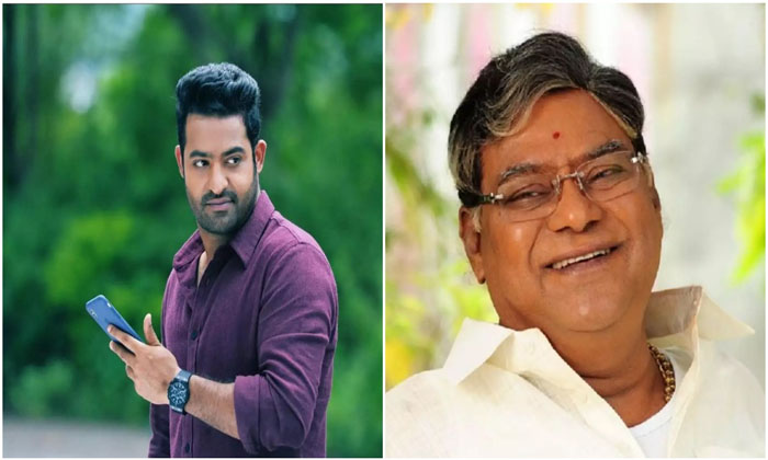  There Is No Competition For Ntr Details, Kota Srinivas Rao,remunerations,ntr,ma-TeluguStop.com