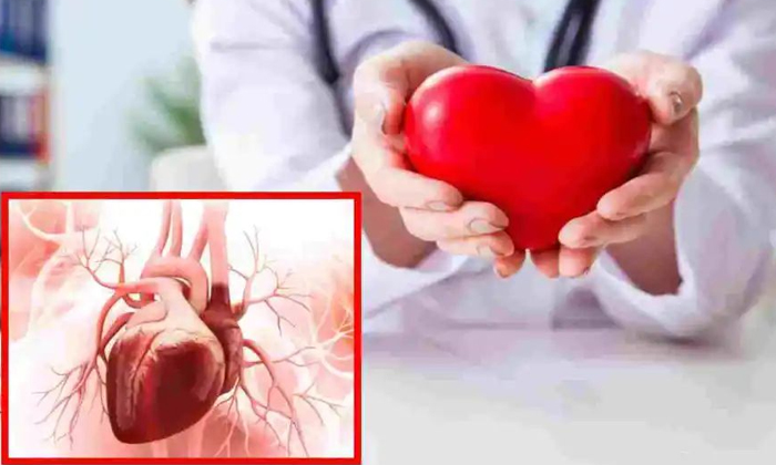 Telugu Diabetes, Tips, Heart Attack, Pressure, Cholesterol-Telugu Health Tips