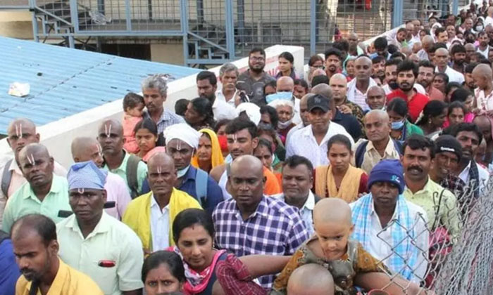  Crowd Of Devotees Increased In Tirumala.. Do You Know How Much Time It Takes Ven-TeluguStop.com