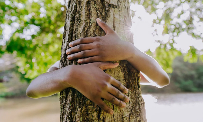  Tree Hugging Therapy Chinese Woman In Shanghai Hugs Tree To Feel Positive Energy-TeluguStop.com