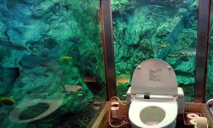 Telugu Aquarium, Japan Toilet, Toilet, Latest-Telugu NRI