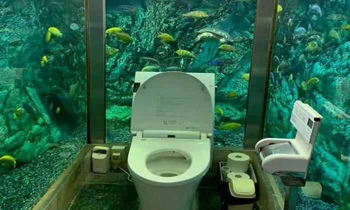 Telugu Aquarium, Japan Toilet, Toilet, Latest-Telugu NRI