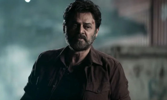 Telugu Sailesh Kolanu, Saindhav, Tollywood, Venkatesh-Movie