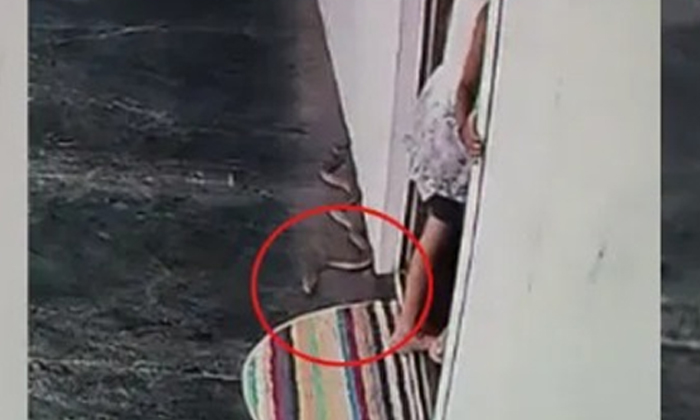  Viral What Was The Snake Hiding At The Door While The Child Was Coming Into The-TeluguStop.com