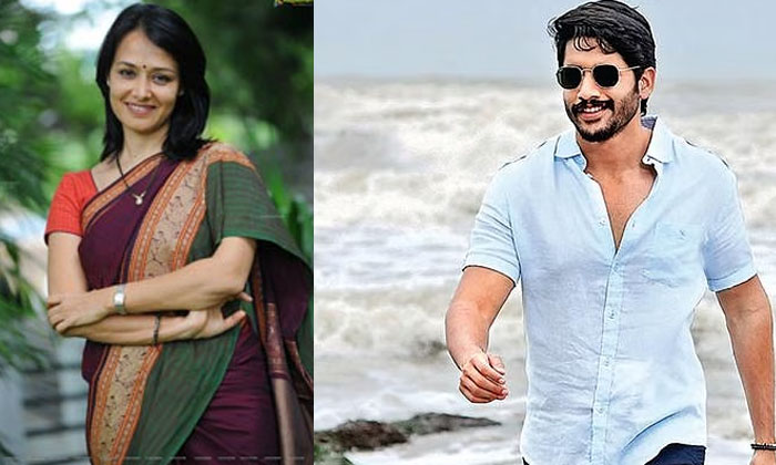 Telugu Akhil, Amala Akkineni, Naga Chaitanya, Nagarjuna, Tollywood-Movie