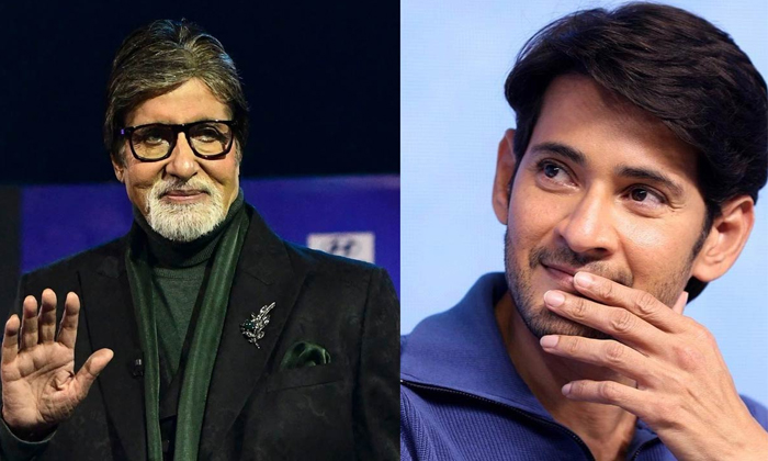  Big B Amitabh Bachchan In Mahesh Babu Rajamouli Movie Details, Big B Amitabh Bac-TeluguStop.com