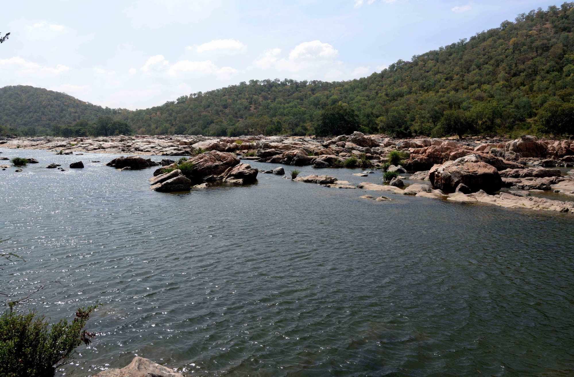  Cauvery Tribunal Unlikely To Take Up Makedatu Dam Issue-TeluguStop.com